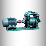 SK系列單級(jí)水環(huán)式真空泵